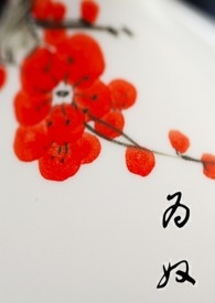 bl-1型防雹增雨火箭弹